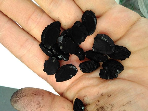 ����̿���ʹ������̼?x��)��w���x