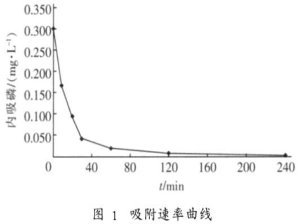 �۠����̿�������׵���������