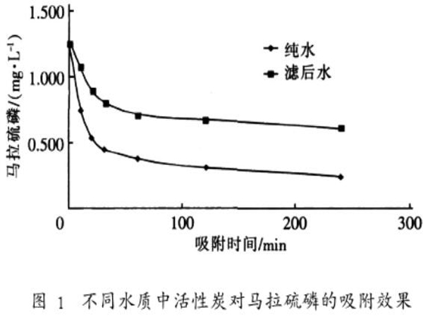 �۠����̿���R�����׵���������